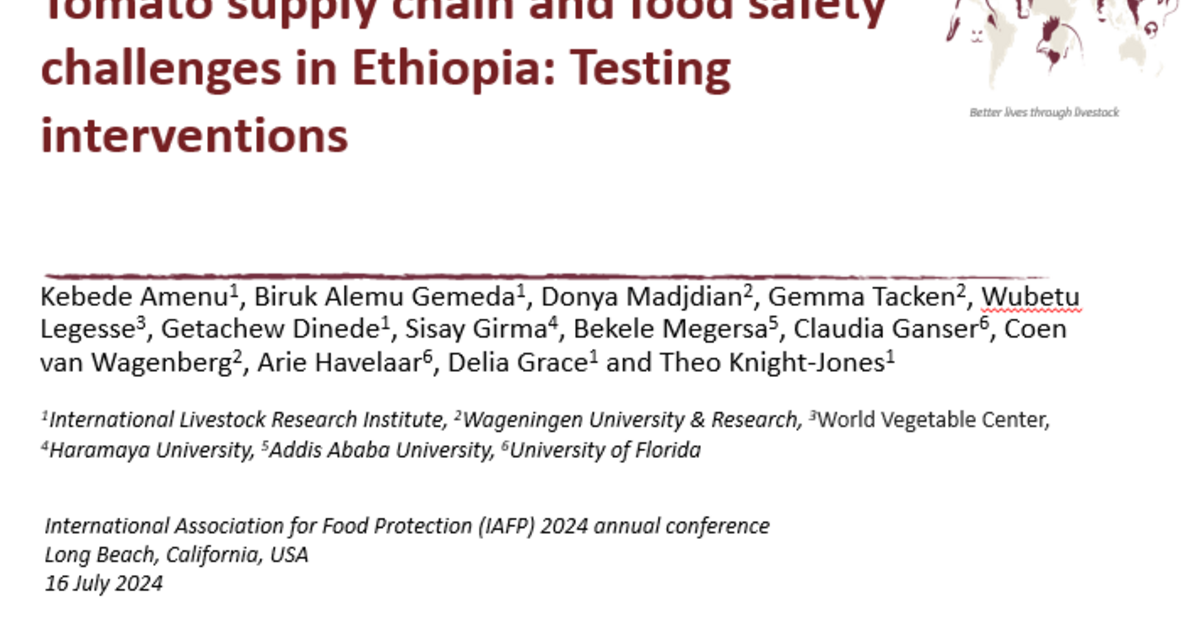 Tomato supply chain and food safety challenges in Ethiopia Testing